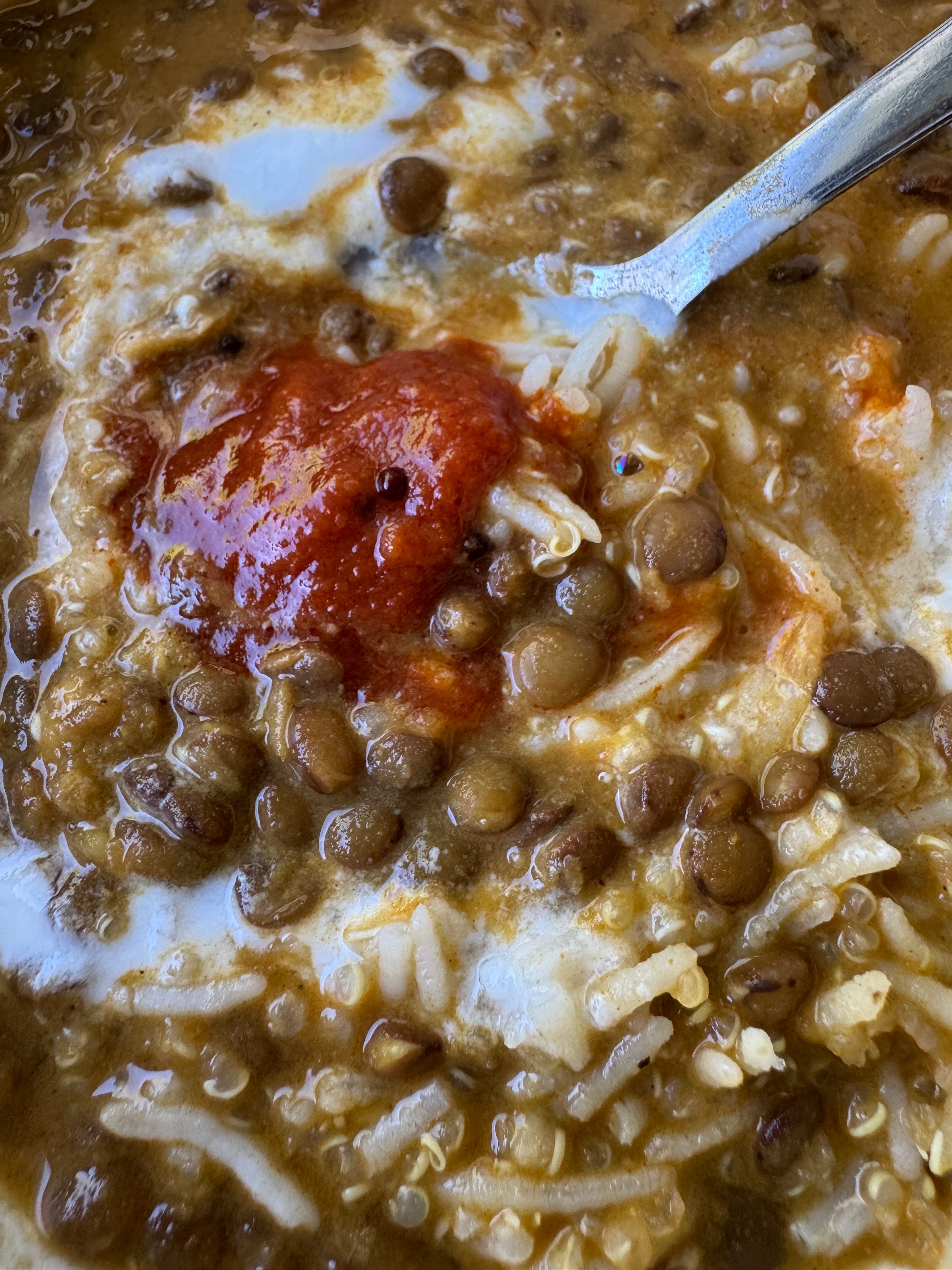 Tikka Masala Brown Lentils
